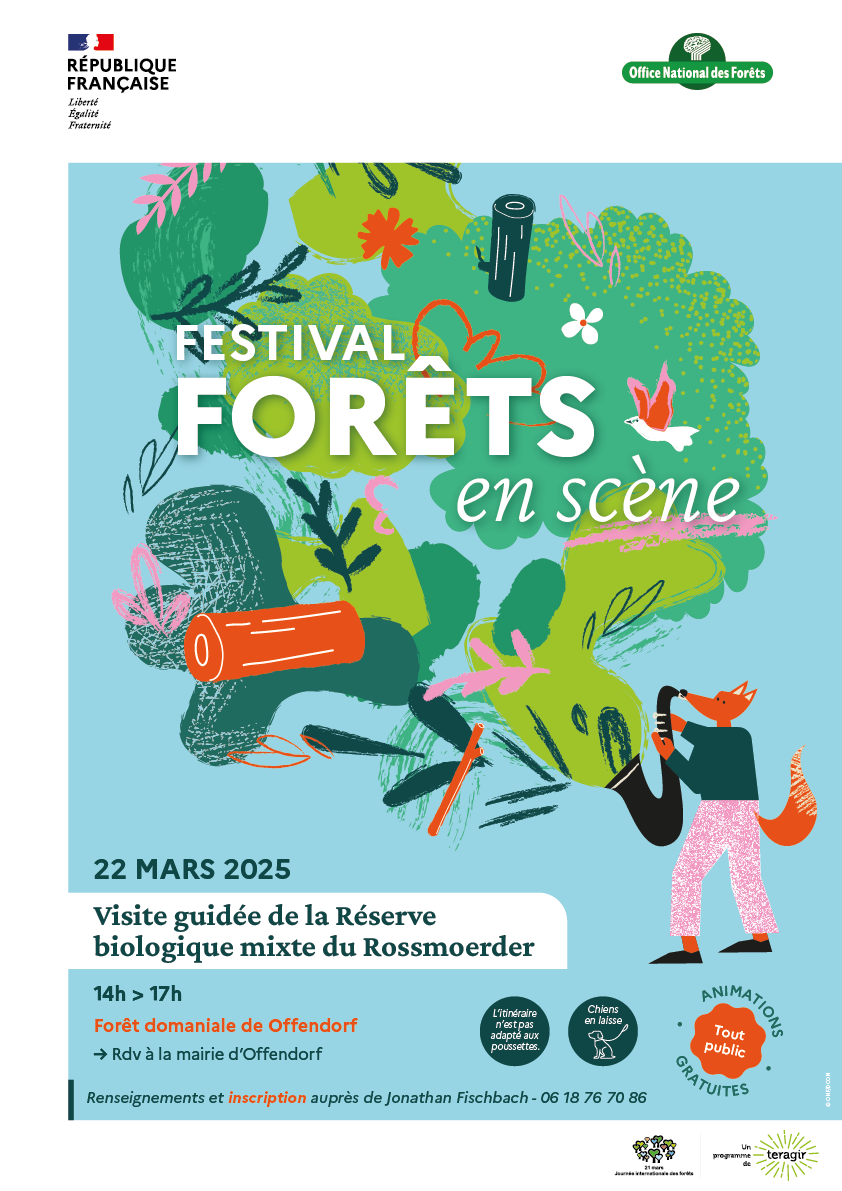 Image actuelle