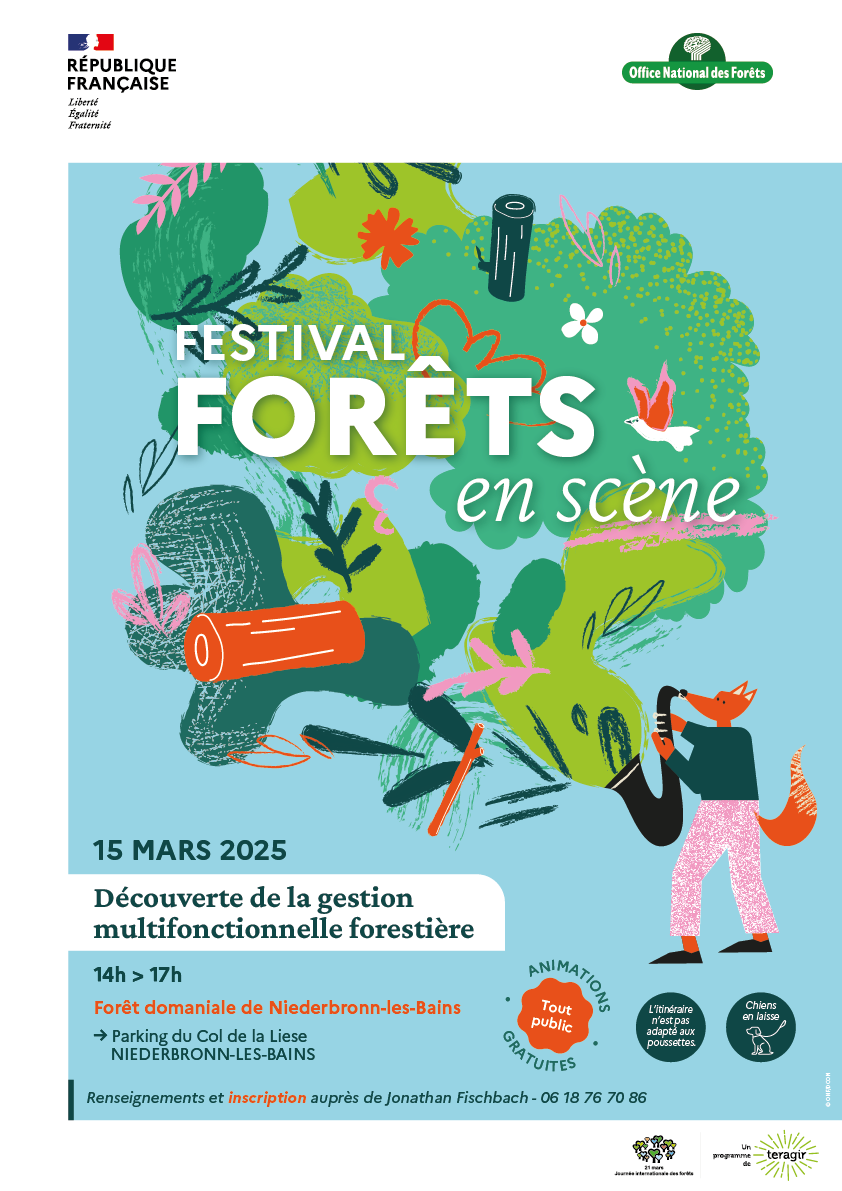 Image actuelle